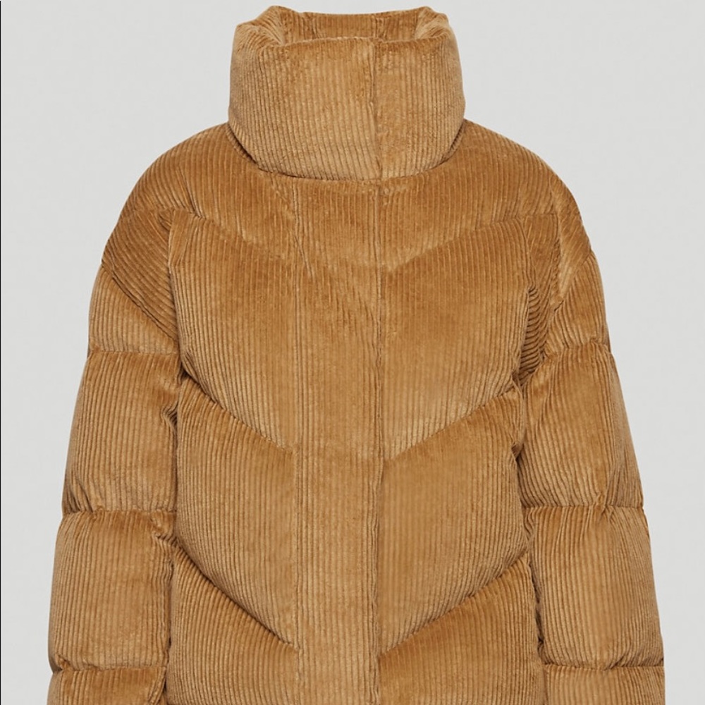 Wilfred Cloud Puff Aritzia Coat